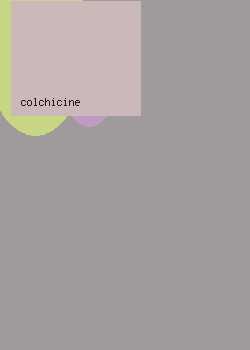 colchicine effects
