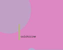 colchicine gout
